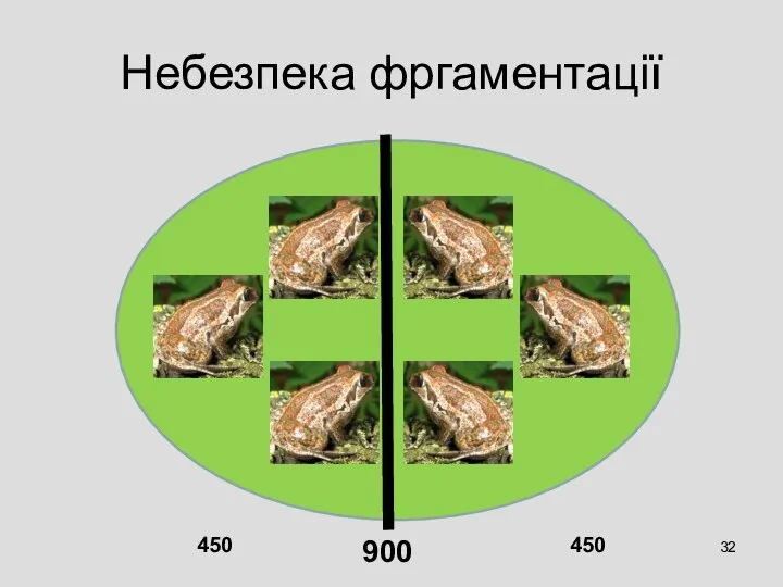 Небезпека фргаментації 900 450 450