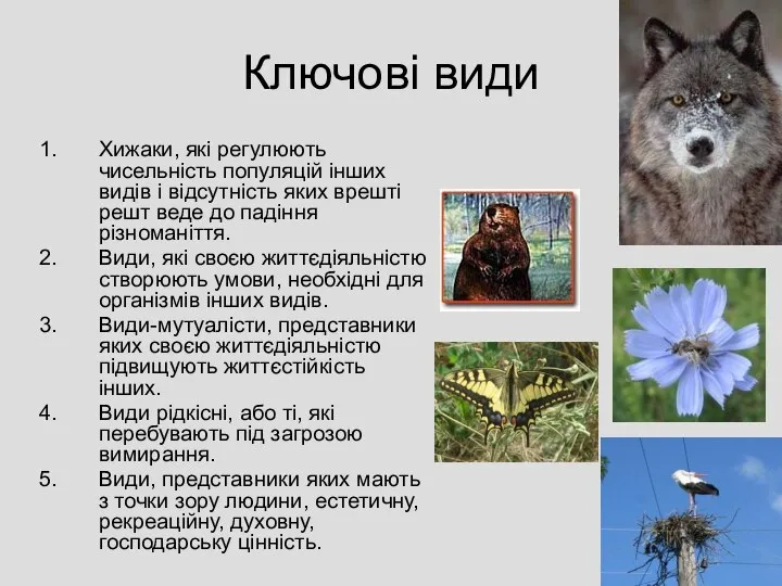 Ключові види Хижаки, які регулюють чисельність популяцій інших видів і відсутність