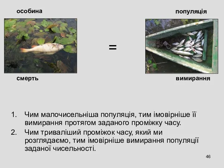 Чим малочисельніша популяція, тим імовірніше її вимирання протягом заданого проміжку часу.