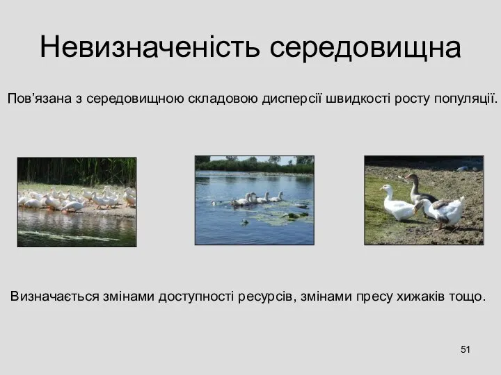 Невизначеність середовищна Пов’язана з середовищною складовою дисперсії швидкості росту популяції. Визначається