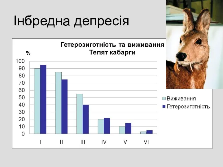 Інбредна депресія %