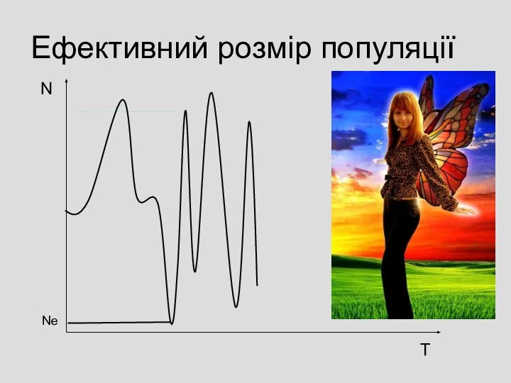 Ефективний розмір популяції Т N Ne