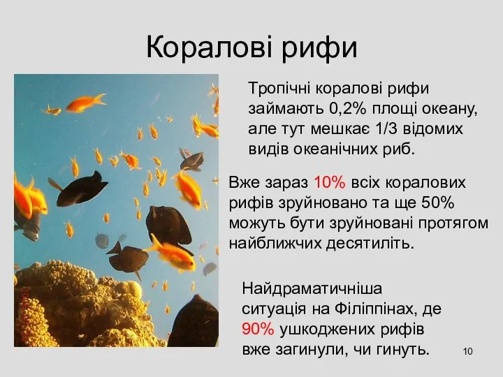 Коралові рифи Тропічні коралові рифи займають 0,2% площі океану, але тут