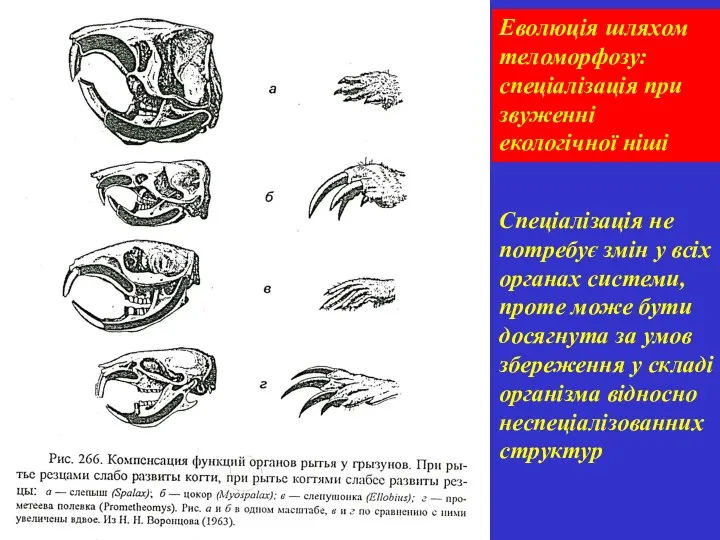 Спеціалізація не потребує змін у всіх органах системи, проте може бути