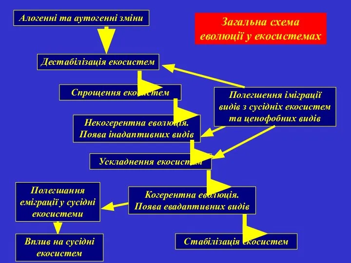 Загальна схема еволюції у екосистемах Алогенні та аутогенні зміни