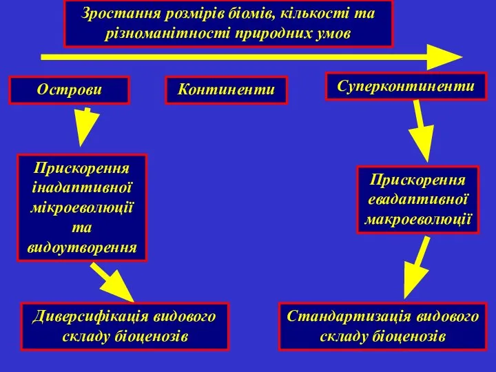 Суперконтиненти Континенти Острови Прискорення евадаптивної макроеволюції Прискорення інадаптивної мікроеволюції та видоутворення