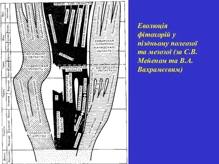Еволюція фітохорій у піздньому полеозої та мезозої (за С.В.Мейеном та В.А.Вахрамєєвим)