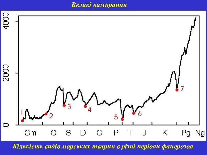 Великі вимирання Кількість видів морських тварин в різні періоди фанерозоя