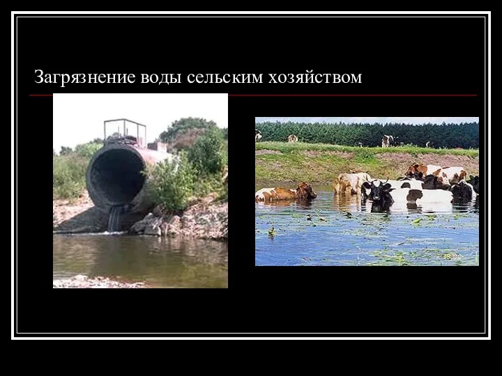 Загрязнение воды сельским хозяйством