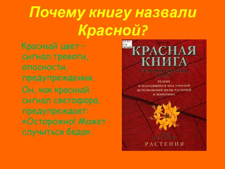 Почему книгу назвали Красной? Красный цвет – сигнал тревоги, опасности, предупреждения.