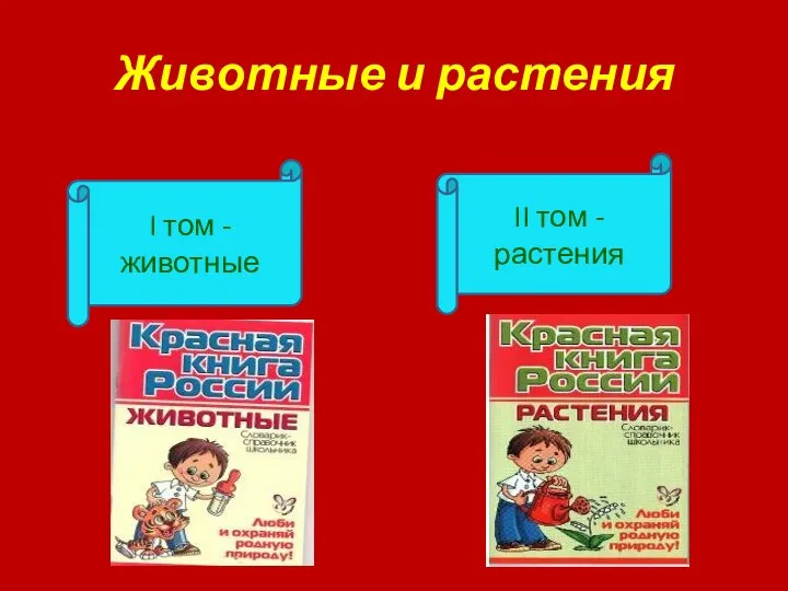 Животные и растения I том - животные II том - растения