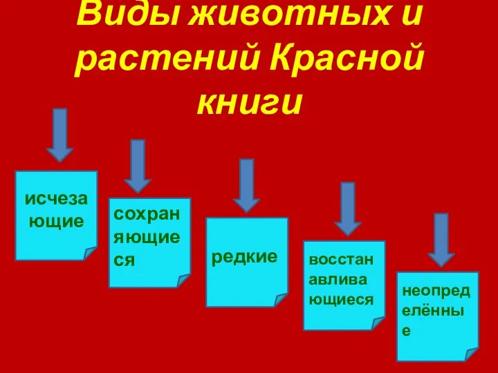 Виды животных и растений Красной книги исчезающие неопределённые восстанавливающиеся редкие сохраняющиеся