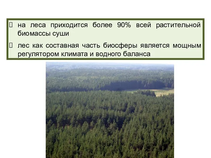 на леса приходится более 90% всей растительной биомассы суши лес как