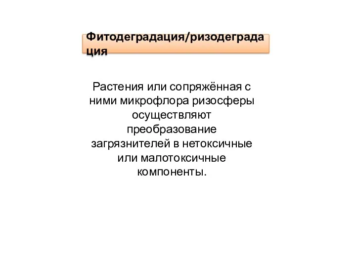 Фитодеградация/ризодеградация Растения или сопряжённая с ними микрофлора ризосферы осуществляют преобразование загрязнителей в нетоксичные или малотоксичные компоненты.