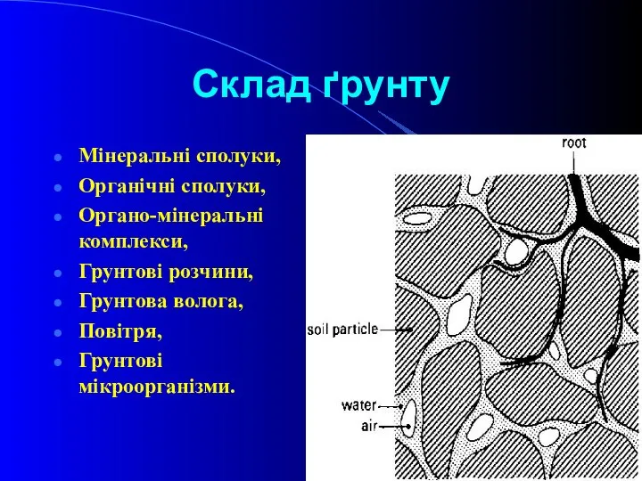 Склад ґрунту Мінеральні сполуки, Органічні сполуки, Органо-мінеральні комплекси, Грунтові розчини, Грунтова волога, Повітря, Грунтові мікроорганізми.