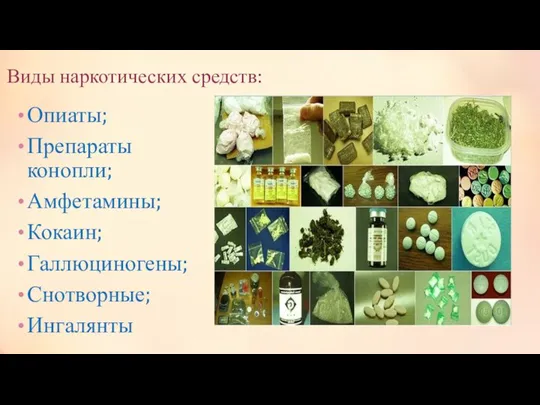 Виды наркотических средств: Опиаты; Препараты конопли; Амфетамины; Кокаин; Галлюциногены; Снотворные; Ингалянты