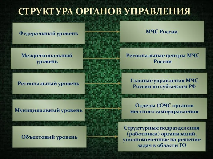 СТРУКТУРА ОРГАНОВ УПРАВЛЕНИЯ Федеральный уровень Межрегиональный уровень Региональный уровень Муниципальный уровень