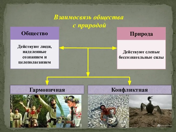 Гармоничная Конфликтная Взаимосвязь общества с природой