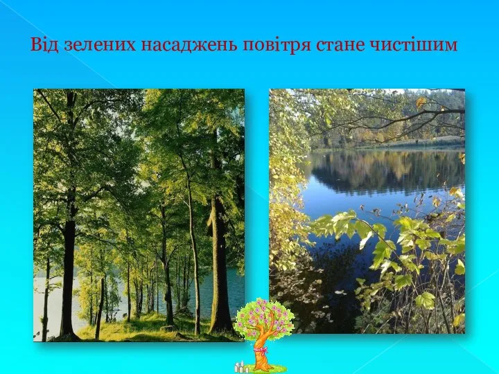 Від зелених насаджень повітря стане чистішим