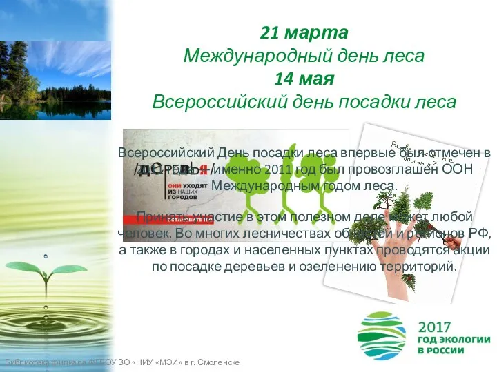 21 марта Международный день леса 14 мая Всероссийский день посадки леса