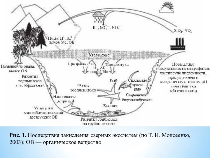 Рис. 1. Последствия закисления озерных экосистем (по Т. И. Моисеенко, 2003); ОВ — органическое вещество