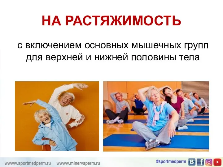 НА РАСТЯЖИМОСТЬ с включением основных мышечных групп для верхней и нижней половины тела