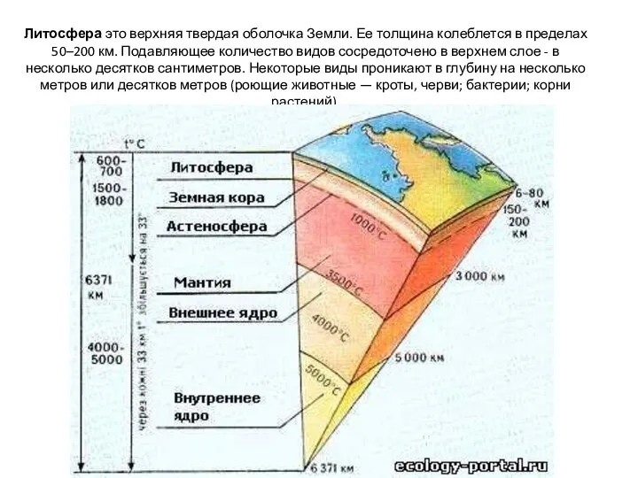 Литосфера это верхняя твердая оболочка Земли. Ее толщина колеблется в пределах