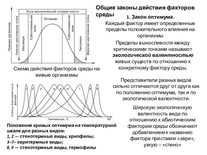 Схема действия факторов среды на живые организмы Положение кривых оптимума на