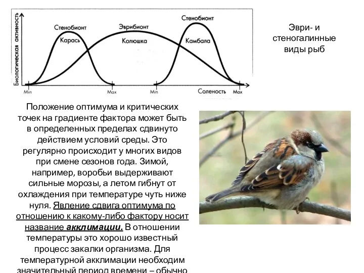 Положение оптимума и критических точек на градиенте фактора может быть в