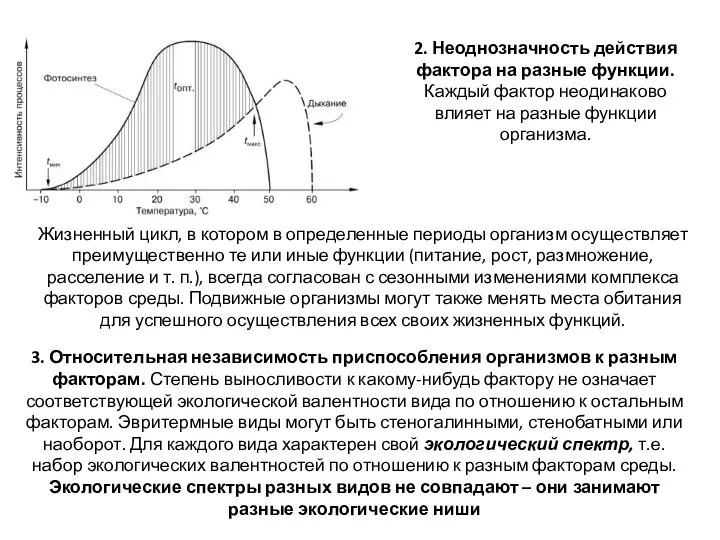 2. Неоднозначность действия фактора на разные функции. Каждый фактор неодинаково влияет