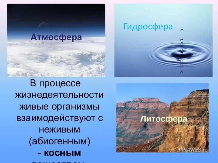 В процессе жизнедеятельности живые организмы взаимодействуют с неживым (абиогенным) - косным веществом.