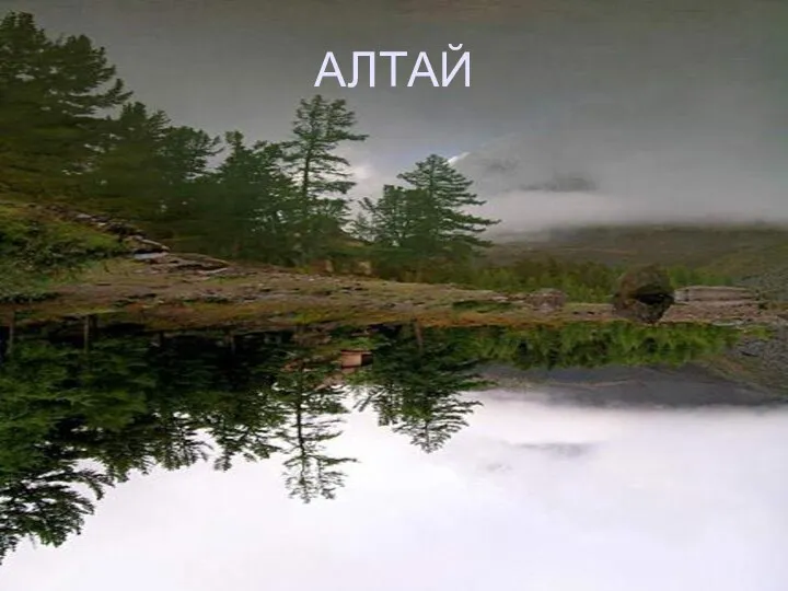 АЛТАЙ