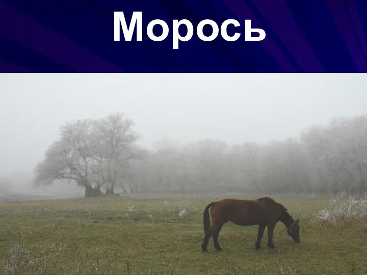 Морось