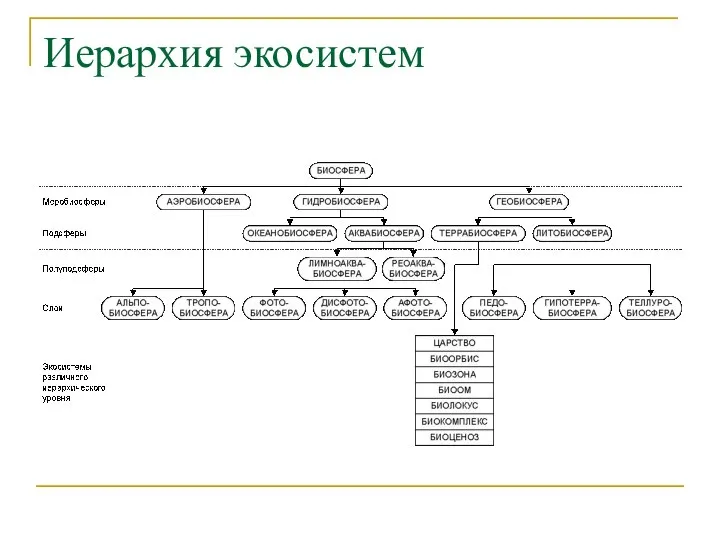 Иерархия экосистем