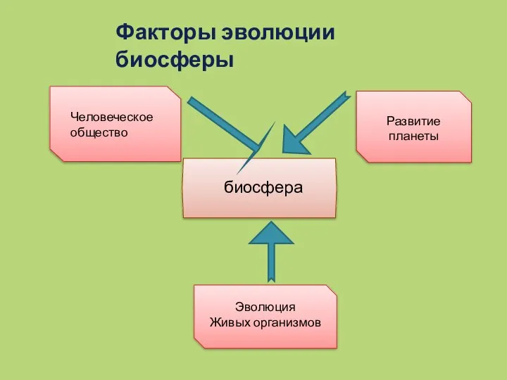 Факторы эволюции биосферы Человеческое общество Развитие планеты Эволюция Живых организмов биосфера