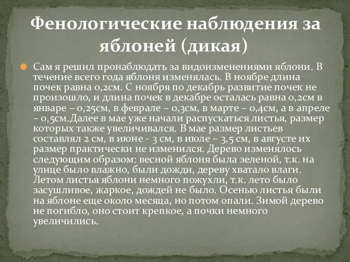 Сам я решил пронаблюдать за видоизменениями яблони. В течение всего года