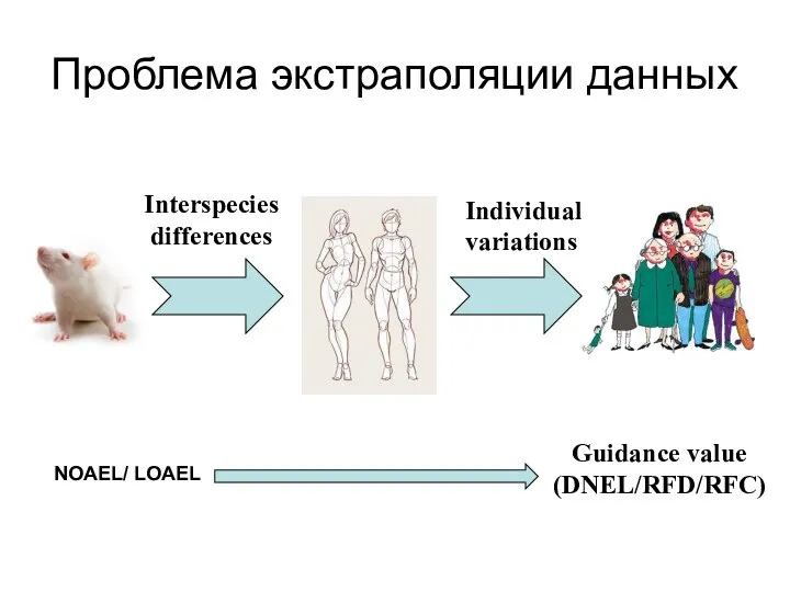 Interspecies differences Individual variations Проблема экстраполяции данных NOAEL/ LOAEL Guidance value (DNEL/RFD/RFC)