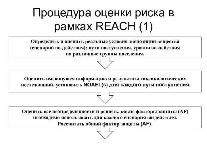 Процедура оценки риска в рамках REACH (1) Определить и оценить реальные