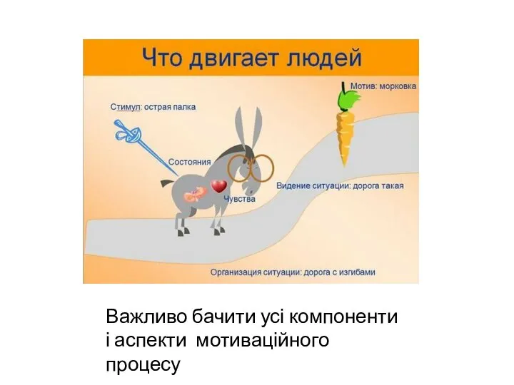 Важливо бачити усі компоненти і аспекти мотиваційного процесу