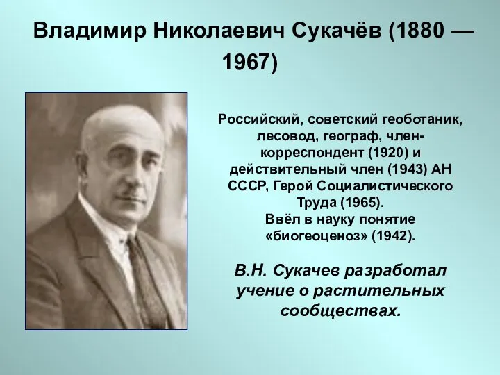 Владимир Николаевич Сукачёв (1880 — 1967) Российский, советский геоботаник, лесовод, географ,