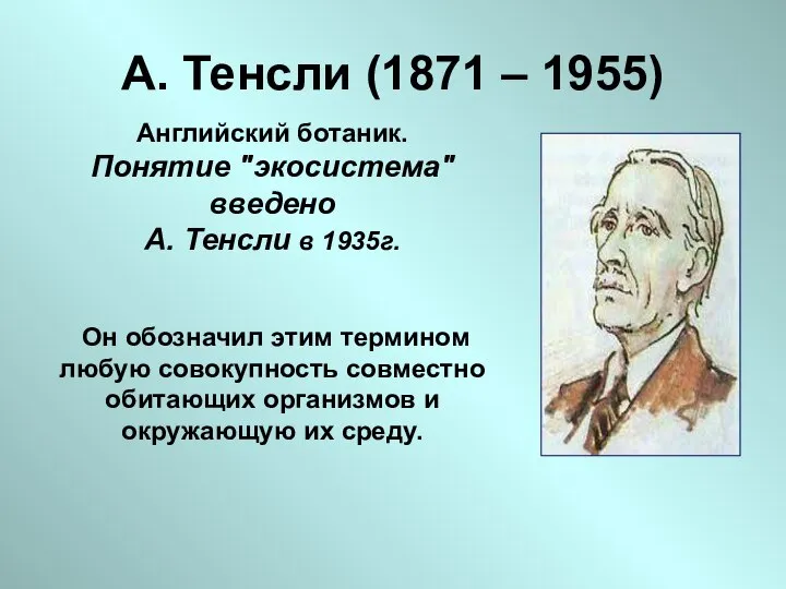 А. Тенсли (1871 – 1955) Английский ботаник. Понятие "экосистема" введено А.