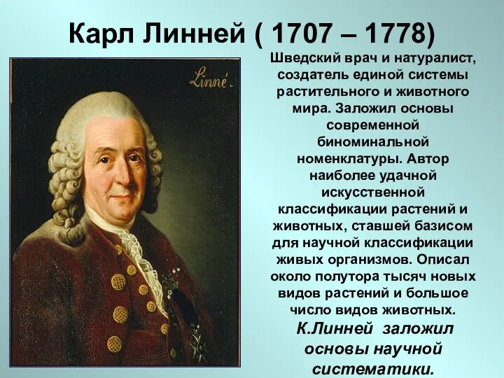 Карл Линней ( 1707 – 1778) Шведский врач и натуралист, создатель