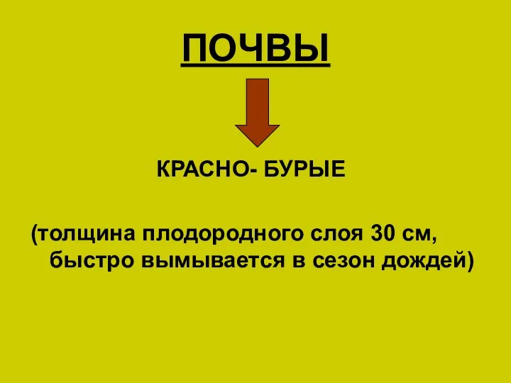 ПОЧВЫ КРАСНО- БУРЫЕ (толщина плодородного слоя 30 см, быстро вымывается в сезон дождей)