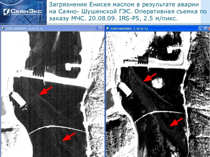 Загрязнение Енисея маслом в результате аварии на Саяно- Шушенской ГЭС. Оперативная