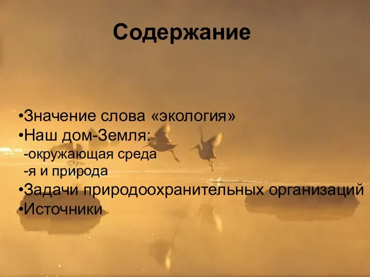 Cодержание Значение слова «экология» Наш дом-Земля: -окружающая среда -я и природа Задачи природоохранительных организаций Источники