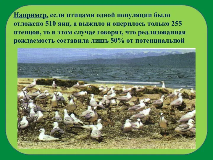 Например, если птицами одной популяции было отложено 510 яиц, а выжило