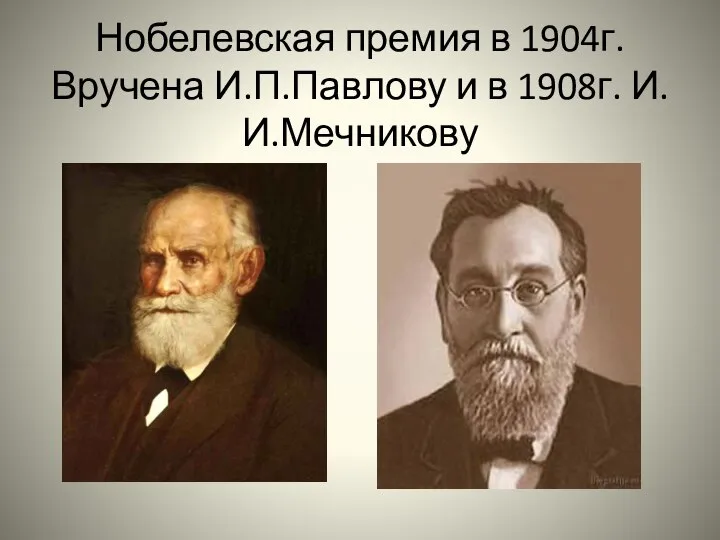 Нобелевская премия в 1904г. Вручена И.П.Павлову и в 1908г. И.И.Мечникову