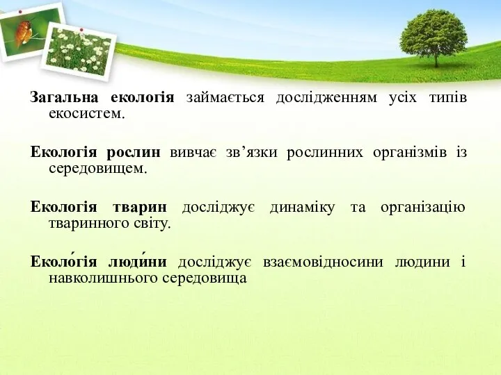 Загальна екологія займається дослідженням усіх типів екосистем. Екологія рослин вивчає зв’язки