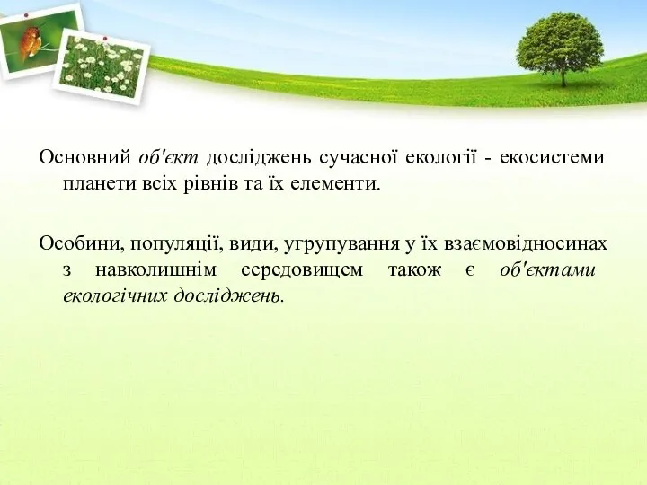 Основний об'єкт досліджень сучасної екології - екосистеми планети всіх рівнів та