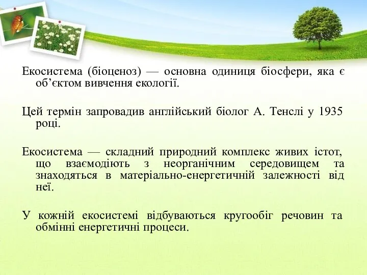 Екосистема (біоценоз) — основна одиниця біосфери, яка є об’єктом вивчення екології.